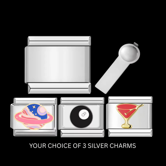 Silver Charm Bracelet Starter Pack